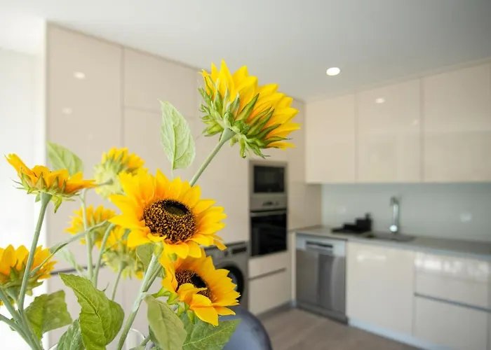 Appartement T2 Freedom *