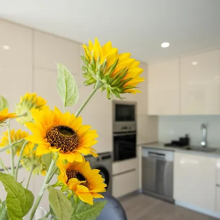 Appartement T2 Freedom *